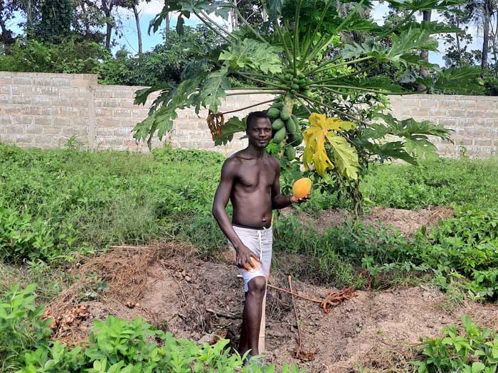 A la Ferme Nabosse, vous y trouverez, bananes, avocats, agrumes (citron, orange, pamplemousse, clémentine…), passiflore (fruits de la passion), 