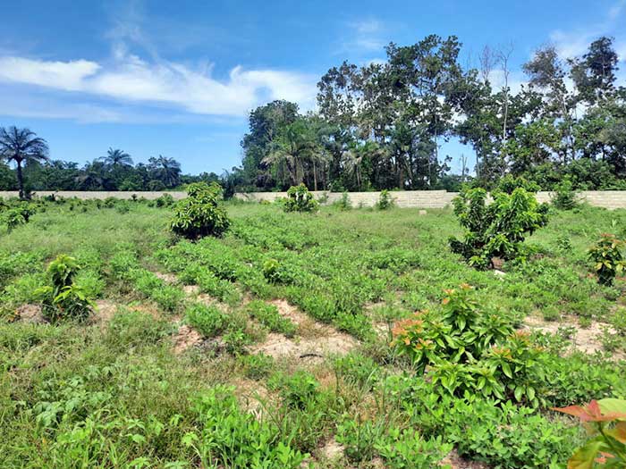 Le promoteur de ce magnifique projet, Mr Adama DIATTA fils de la localité, a pour but ultime de créer des emplois directs et indirects 