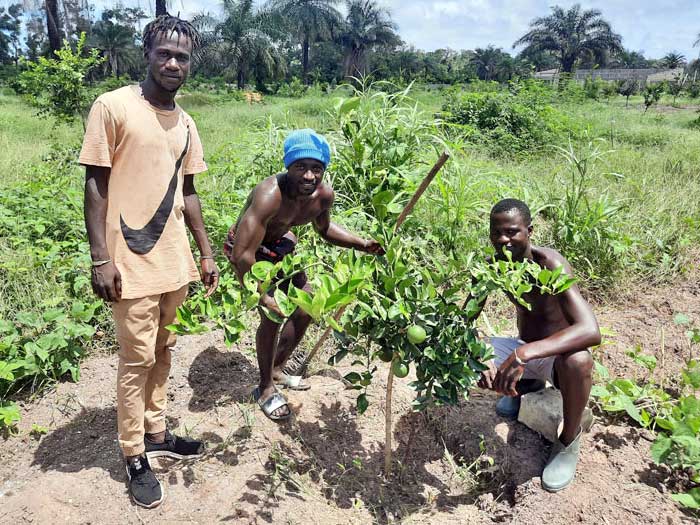 Une équipe sympathique vous accueille tous les jours pour vous faire visiter la ferme Nabosse de 14h30 à 18h. 