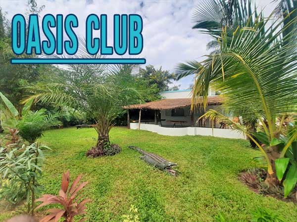 La résidence Oasis Club est un véritable petit paradis de verdure.