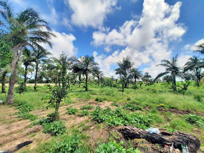 La ferme Nabosse est ouverte à toutes et à tous, n'hésitez pas à venir faire votre marché chez nous et profiter d'un moment inoubliable  