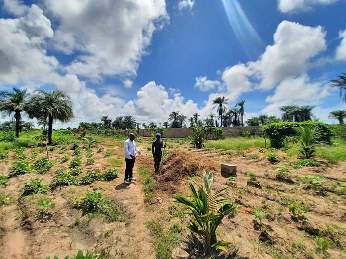 Vente de produits locaux cultivés dans le respect de l'environnement. Ouvert à tous et à toutes pour des visites organisées.