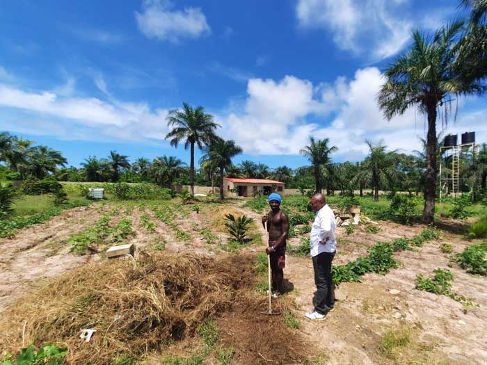 La Ferme de Nabosse Vente de produits locaux Cap Skirring ben et théo agriculteurs bio cultivateurs sénégal