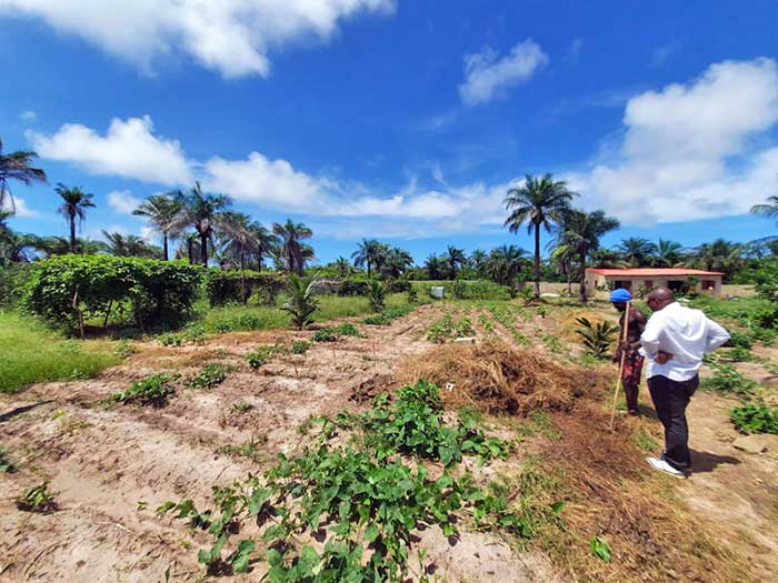 Le promoteur de ce magnifique projet, Mr Adama DIATTA fils de la localité, a pour but ultime de créer des emplois directs et indirects