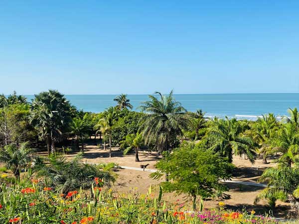 Des terrasses aménagées vous permettrons d'admirer la beauté de l'océan Atlantique à toute heure de la journée magnifiques couchers de soleil