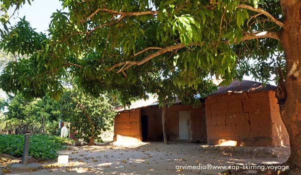 Case africaine en terre architecture diola, ombrage et lumière de la vie en Casamance sud du Sénégal. photo arvimedia
