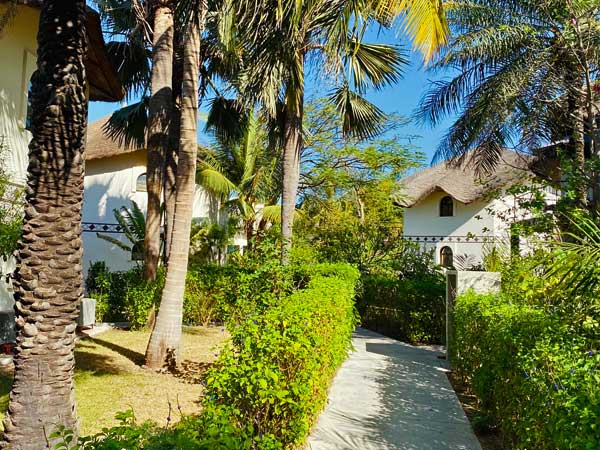 Tout autour de la villa, vous pourrez apprécier les jardins arborés et fleuris. Nature luxuriante au mille parfums exotiques. 