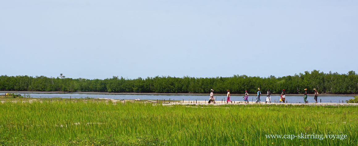 sur l'île de Niomoune les gens se rendent à la fête à pied, ici il n'y a pas d'autre moyen de transport photo arvimedia guy degoutte