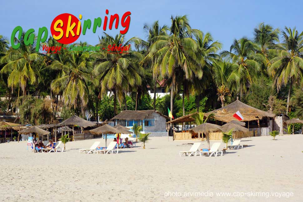 partir en vacances l'hiver au soleil destination de rêve cocotiers et palmiers sur la plage au bord de l'océan en casamance arvimedia