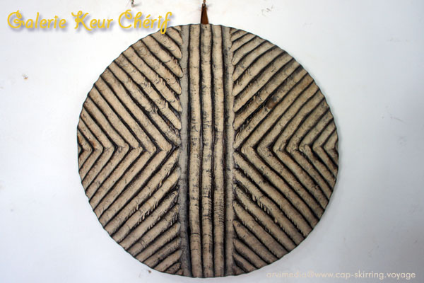 Bouclier Zulu Afrique du Sud art tribal primitif