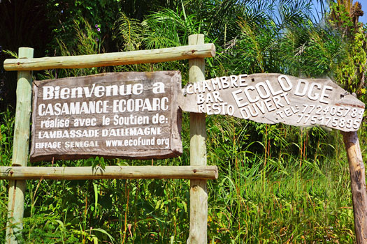 un magnifique hébergement dans un écoparc écolodge situé en bord de mer proche du village de diembéring et cap skirring basse casamance