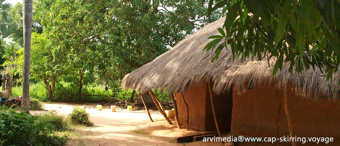 de nombreuses possibilités s'offrent à vous pour partir à la découverte de la Casamance région du sud du Sénégal excursion vélo pirogue ou taxi