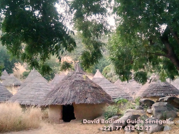 l'habitat traditionnel des tribus du sénégal découverte des régions en taxi brousse avec David Badiane guide touristique de Casamance