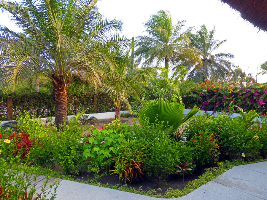 Salif Bassene (Zal), jardinier paysagiste à Cap Skirring Cap Randoulène, sud de la casamance photo arvimedia guy degoutte