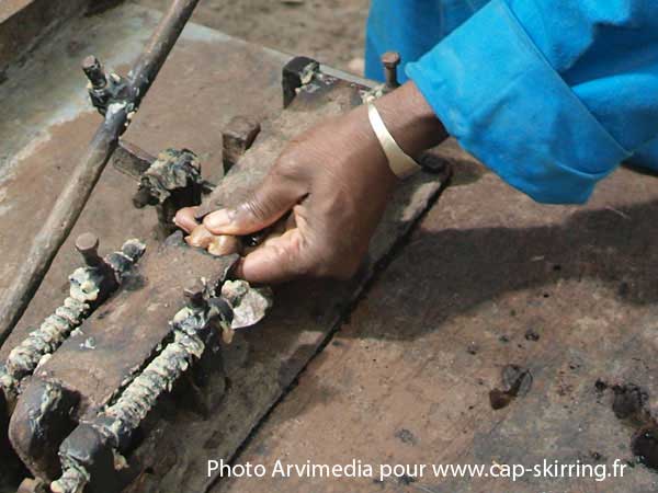 vente de noix de cajou de casamance