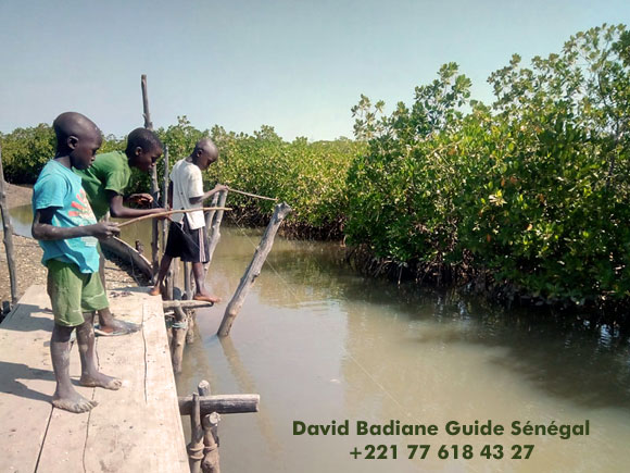 Visite du parc national faune et flore du Sénégal excursion visite des plus beaux endroits, contact avec les habitants coutumes et traditions