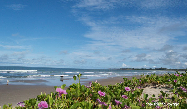 plage fleurie à cap skirring