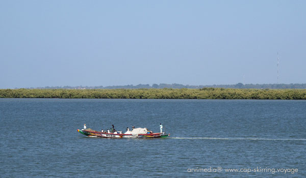 Pêcheurs sur le fleuve Casamance l'un des plus grand du Sénégal rivière très poissonneuse décor de rêve de cette magnifique région