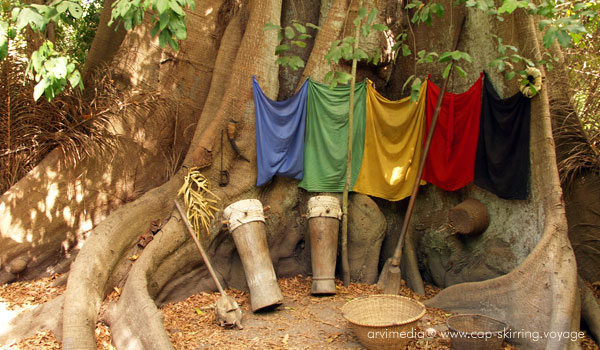 Musée de Kadioute : histoire et culture diola ethnie majoritaire de Casamance un des rares musées en plein air du Sénégal