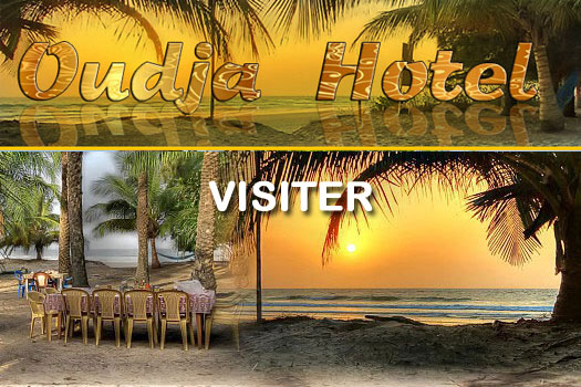 Hôtel les pieds dans l'eau dans une nature encore sauvage organisation d'excursions proche de l'écoparc de Diembéring arvimedia