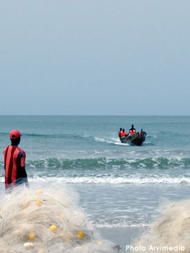 retour des pirogues de pêche, pêcheurs de Cap Skirring, poissons frais tous les jours sur le marché ou vente en direct sur la plage