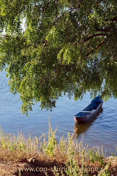 Pirogue traditionnelle d'un pêcheur diola, idéale pour se faufiler silencieusement dans les bolongs. photo arvimedia