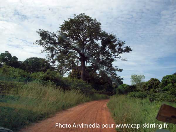 voyage au sénégal avec étienne diatta guide de cap skirring