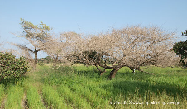 Sénégal vacances nature