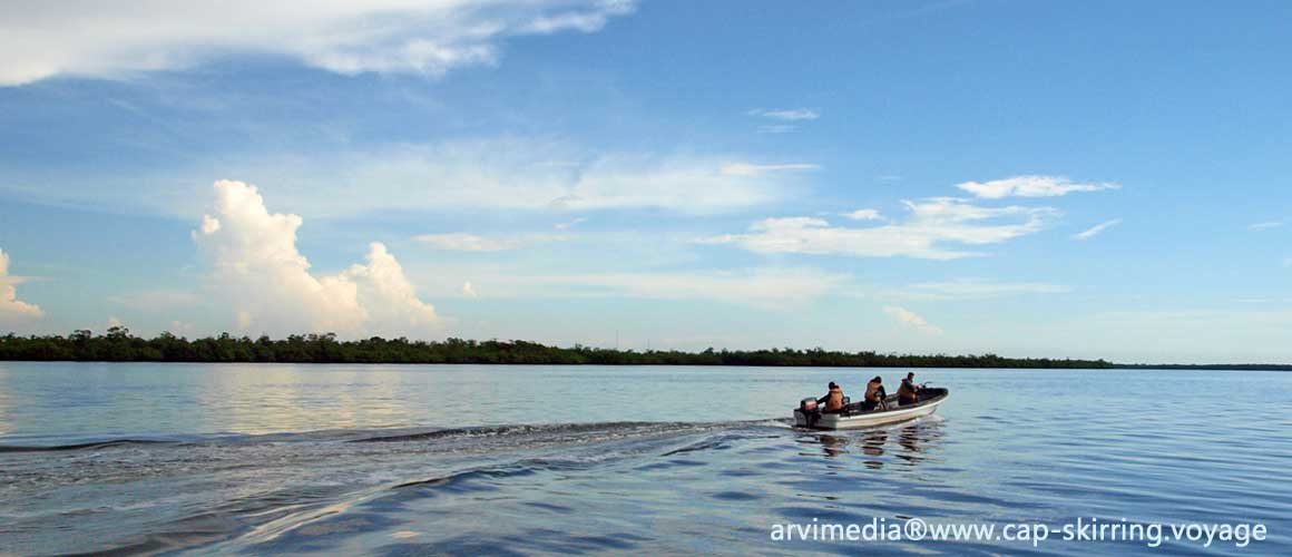 Balade en bateau dans les bolongs, pour la pêche ou les excursions au départ de Bassinet à 10 km du Cap Skirring pêche au gros Sénégal