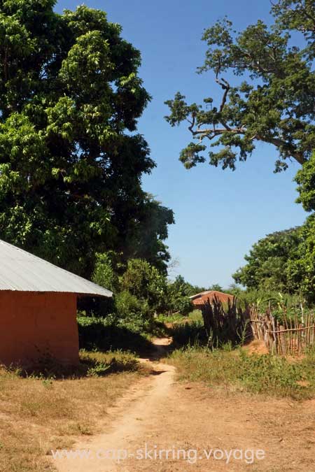 La Casamance est surement l'une des plus belle région du Sénégal, riche en nature et de traditions.