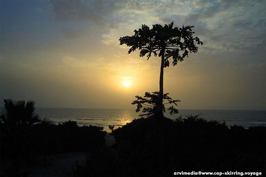 coucher de soleil no stress campement casamance Afrique